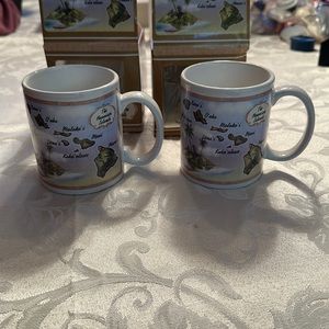 Set of two Hawaii state map